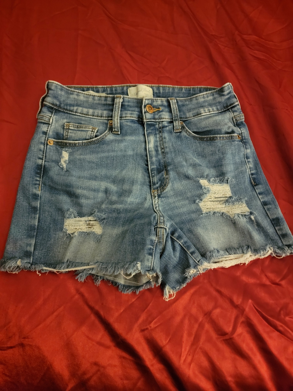 Universal Thread Distressed Light Blue Denim Cutoff Shorts